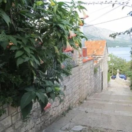 Penzion Rizzi 3*
